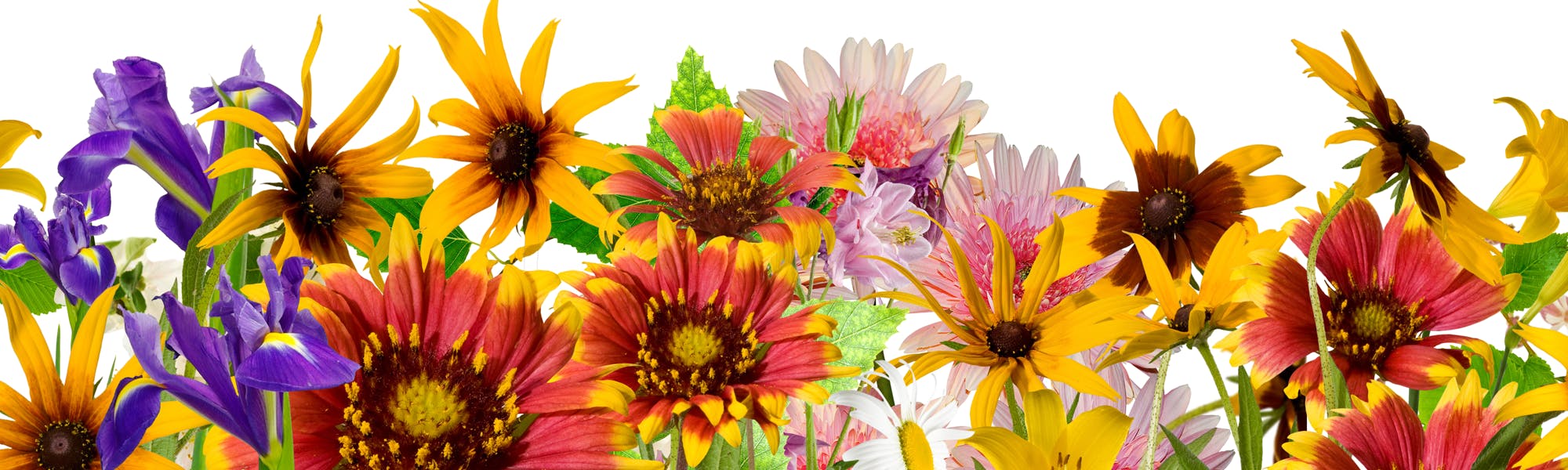 Flowers Billings Montana Sameday Flower Delivery Billings MT by Gainan's Flowers