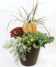Fall Outdoor Planters