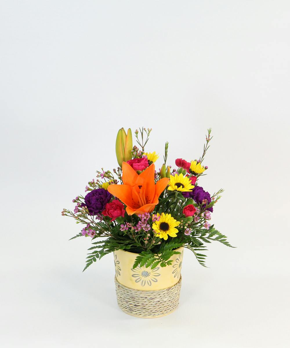 Thinking of You Flower Delivery Billings, MT Gainan's Flowers