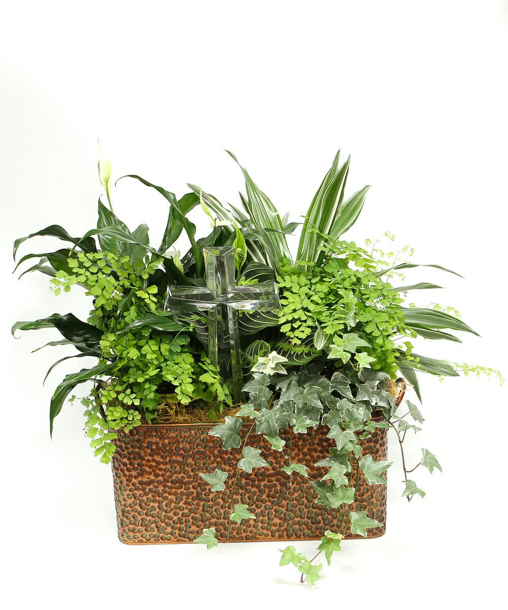 Gainan's Serenity Plant Garden Gainan's Flowers Billings MT