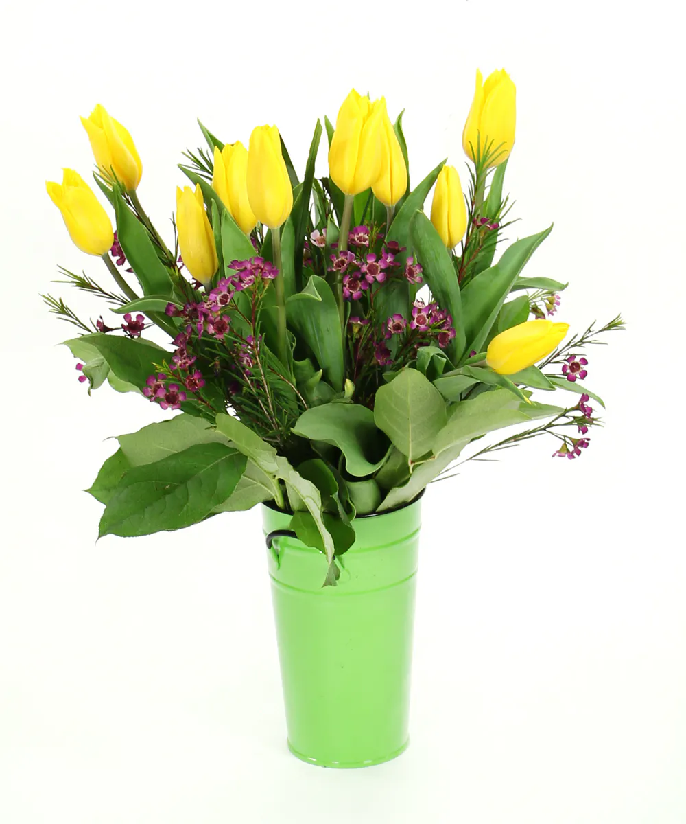 Birthday Flower Delivery Billings, Montana Same Day Delivery Gainan