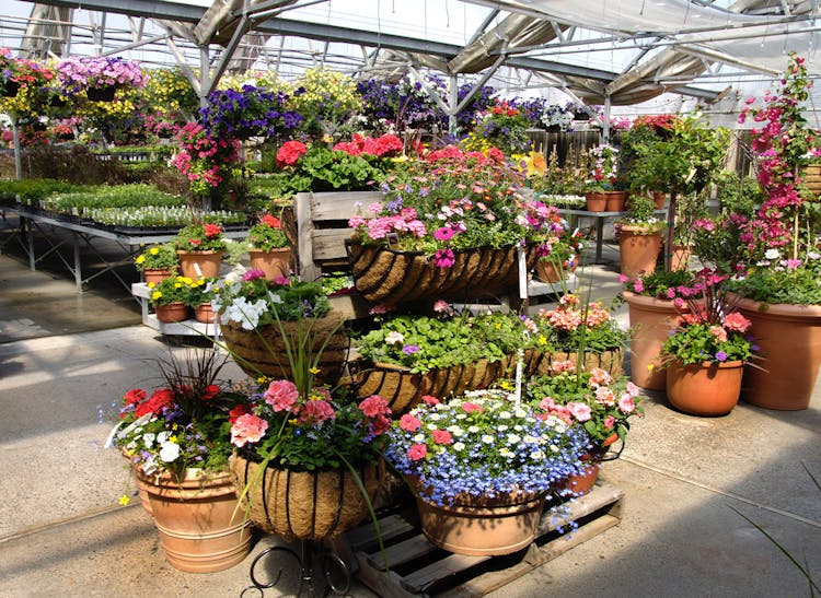 Billings Montana Florist Gainan S Flowers And Garden Center