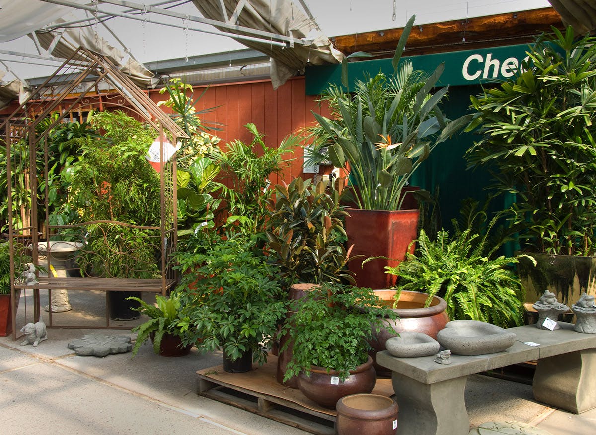 Billings Montana Florist Gainan's Flowers & Garden Center