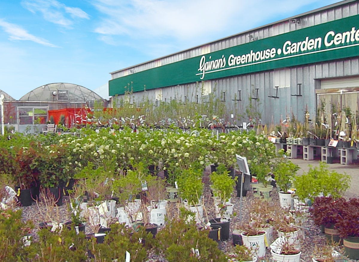 Gainan's Flowers Hours & Address Billings, MT